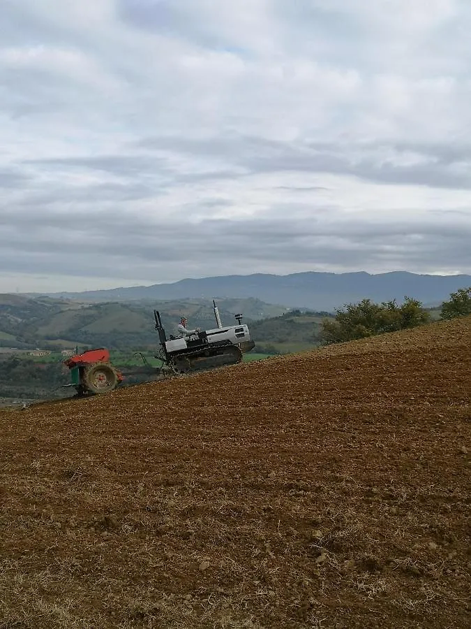Farm stay Agriturismo Podere Prataccio Grosseto